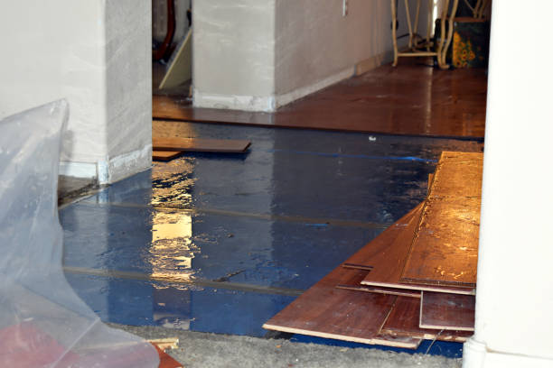 Professional Emergency Water Damage Restoration technician working in Rainsville, AL